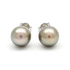 Dark Cortez Pearls on 14K White Gold Earrings